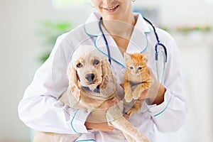 Vet with dog and cat. Puppy and kitten at doctor