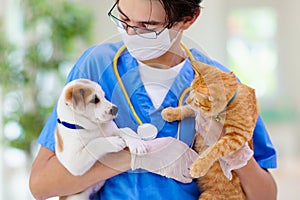 Vet with dog and cat. Puppy and kitten at doctor