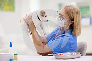 Vet with dog and cat. Puppy and kitten at doctor