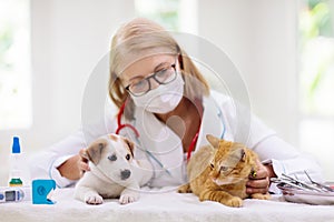 Vet with dog and cat. Puppy and kitten at doctor