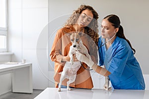 Vet examining dog held by worried owner