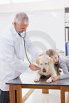 Vet examining a dog with its uneasy owner photo