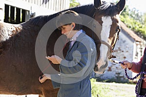 Vet Examining Horse With Stethescope photo