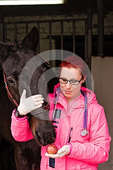 Vet giving an apple as a treat to a horse