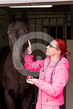 Vet giving an apple as a treat to a horse