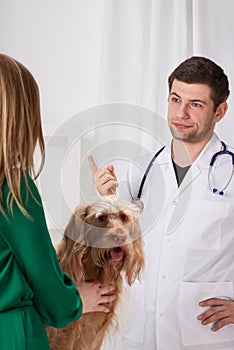 Vet giving medical recommendations