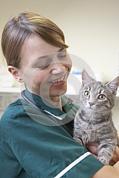 Vet Holding Cat In Surgery