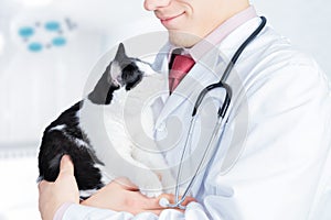 Vet holds a feline