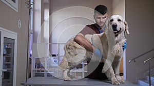 Vet listening to dog`s hearbeat with stethoscope