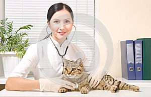 Vet listens stethoscope cat