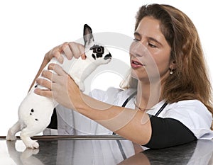 Vet looking at a Dalmatian rabbit