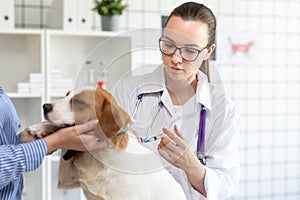 The vet makes a dog an injection syringe. The owner keeps the dog. Blurred background of veterinary clinic.