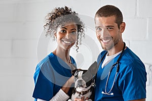 Vet and nurse holding cute dog