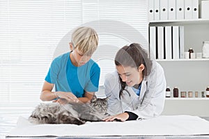 Vet petting a cat with its owner