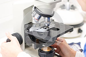 Vet puts a sample under the microscope and examines for pathogenic germs