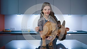 Vet specialists examining french bulldog with stethoscope in modern vet clinic