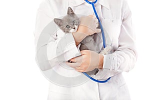 Vet with stethoscope and kitten