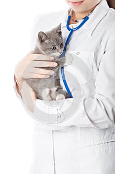 Vet with stethoscope and kitten