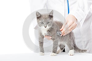 Vet with stethoscope and kitten