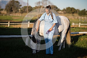 Vet stroking horse in farm