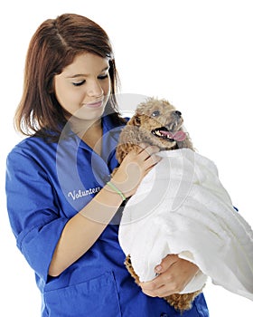 Vet Volunteer Comforting the Patient