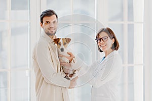 Vetarinary and animal healthcare concept. Happy smiling female vet care about dogs health, going to examine jack russell terrier, photo