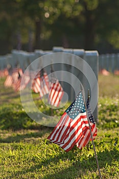 Veteran Cemetery with Flags