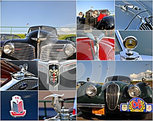 Veteran rally collage