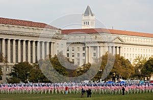 Veteran's Day and Flags