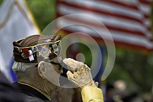 Veteran Saluting