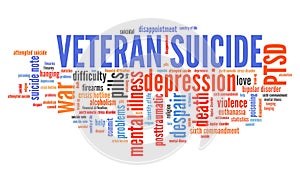 Veteran suicides