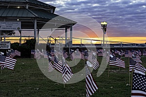 Veterans day flags