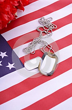Veterans Day USA Flag with dog tags