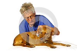 Veterinair with dog