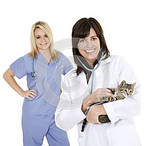 Caucasian woman Veterinarians holding and examining a kitten