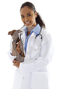 Veterinarian