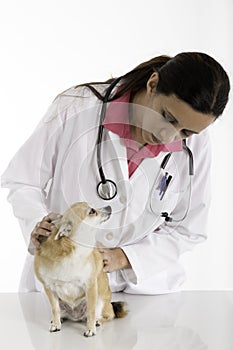 Veterinarian