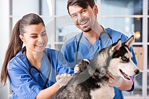 Veterinarian