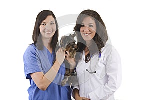 Veterinarian