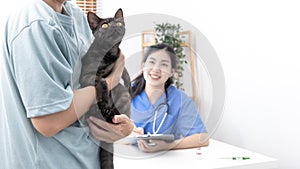 Veterinarian or animal nurse is checking the cat`s health