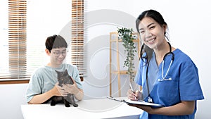 Veterinarian or animal nurse is checking the cat`s health