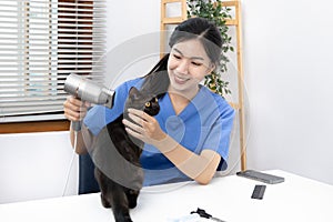 Veterinarian or animal nurse will examine your cat`s physical