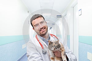 Veterinarian with cat in an animal clinic