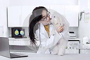 Veterinarian checks the maltese dog cleanliness