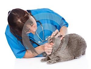 The veterinarian checks teeth to a cat. isolated on white background