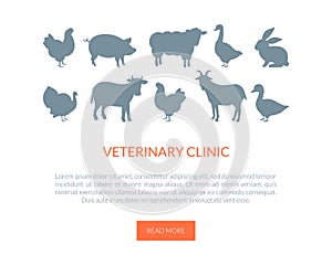 Veterinarian Clinic Landing Page Template, Farm Animals, Turkey, Cow, Rabbit, Goat, Goose, Chicken Vector Illustration
