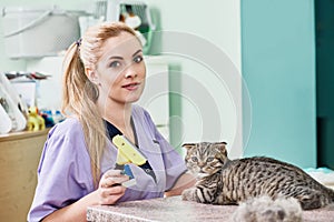 Veterinarian combing cat