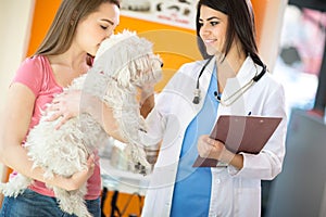 Veterinarian comforting Maltese dog