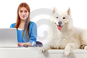 Veterinarian with computer and dog,on table in vet clinic, animal doctor concept