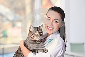 Veterinarian doc with cat in animal clinic